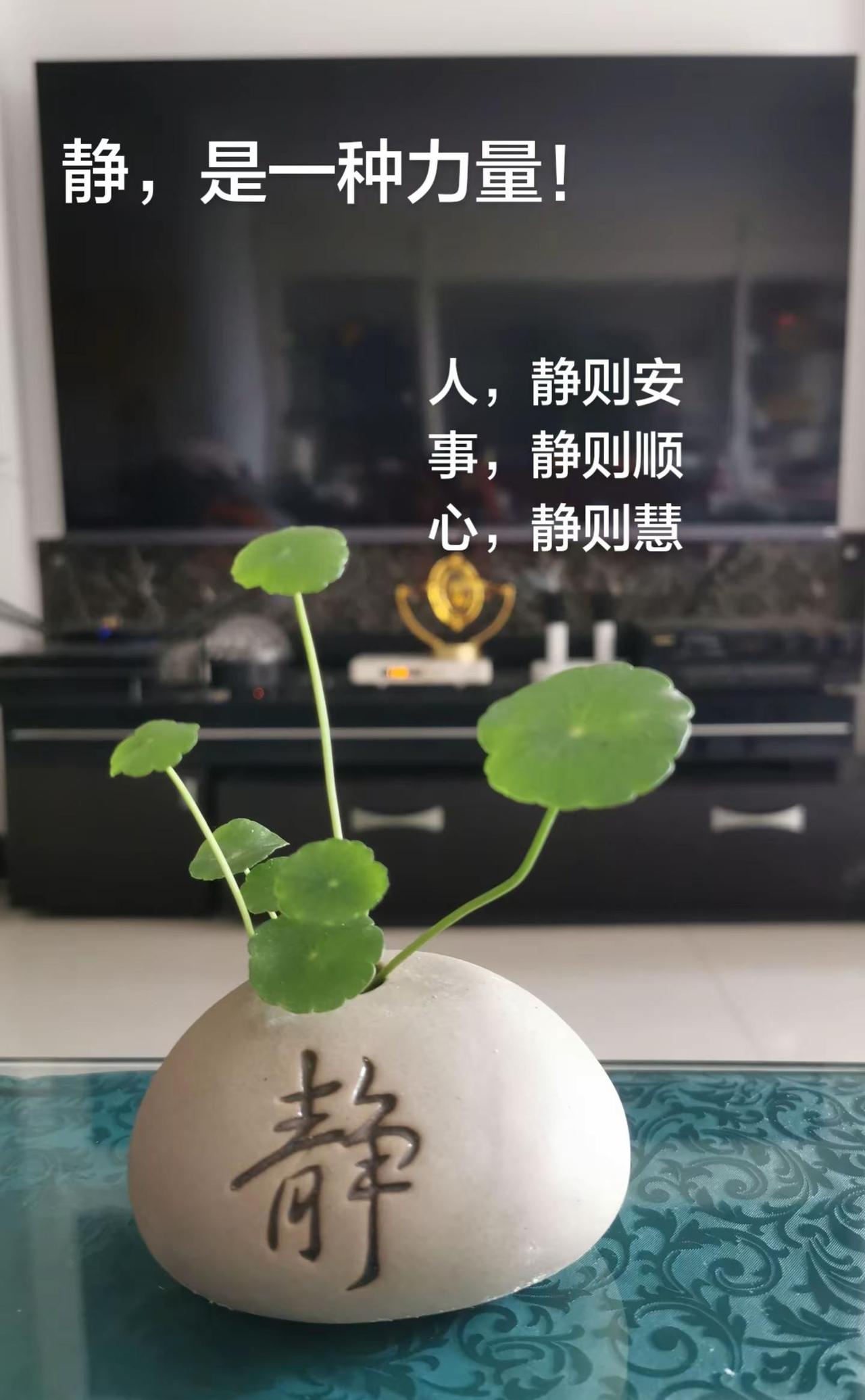 在喧嚣中，寻找一丝宁静，让内心得以放松，感受生命的美好……