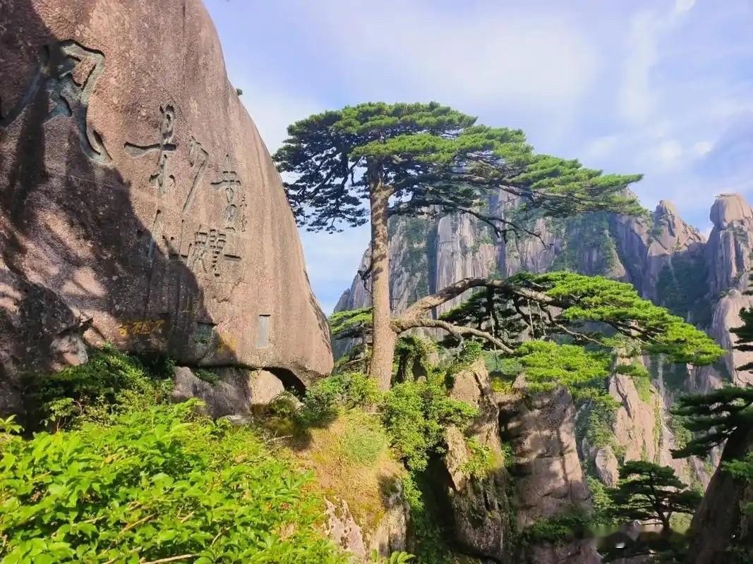 《陈行甲会再辞职？》

陈行甲总能成为热点话题的焦点。这不，只因70万的工资收入