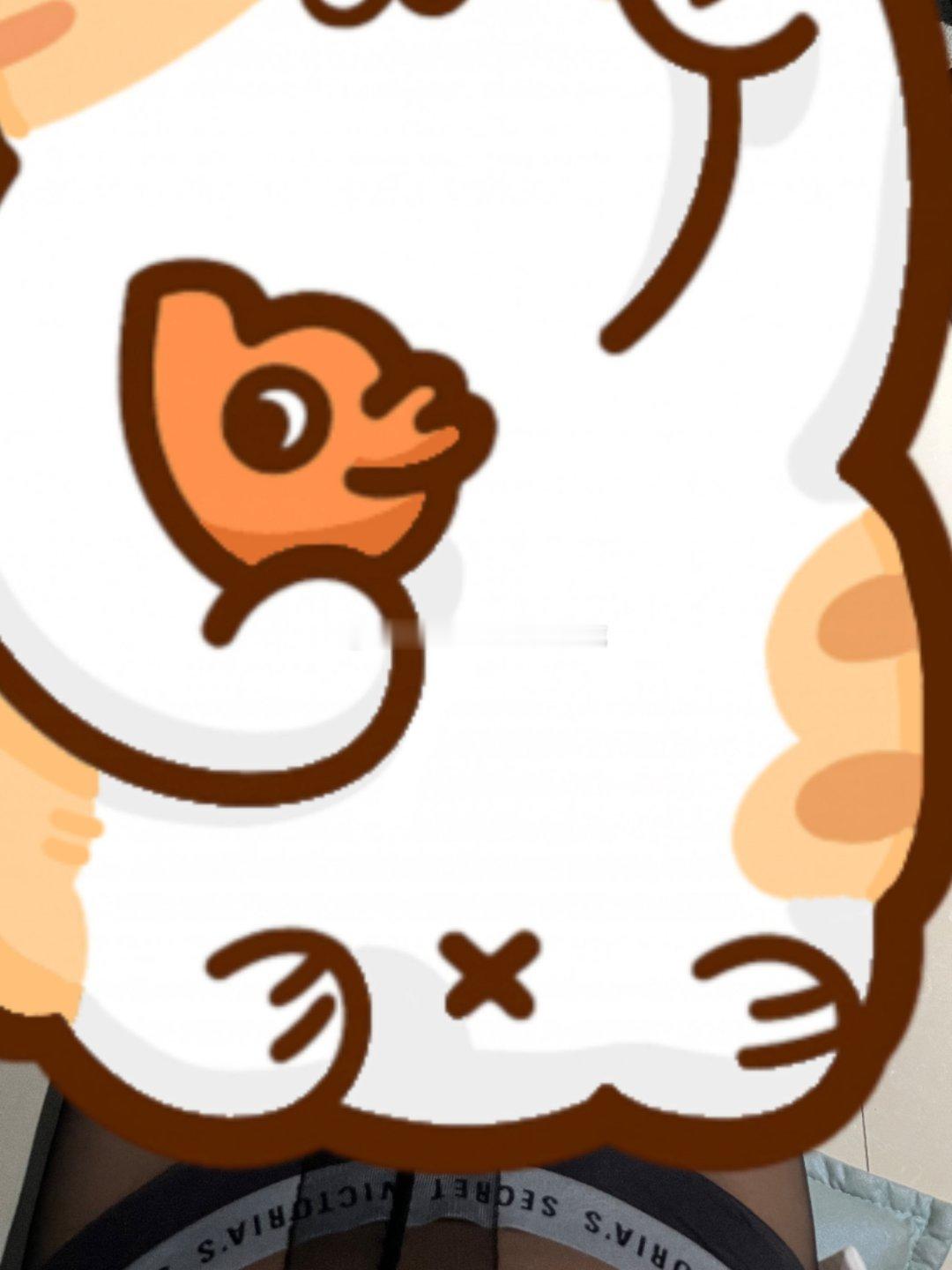 中午谁没睡？？？？？🙋 