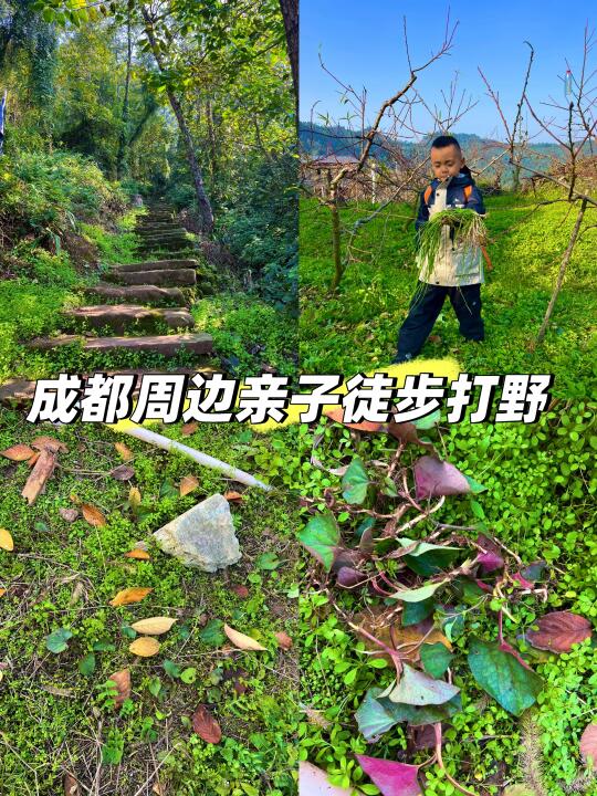 成都亲子徒步10条路线‼️可挖野葱小众秘境🌲