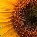 每日一善  🧡 每日一善 心是晴的，所见都是阳光；心是善的，所遇都是好人；心是