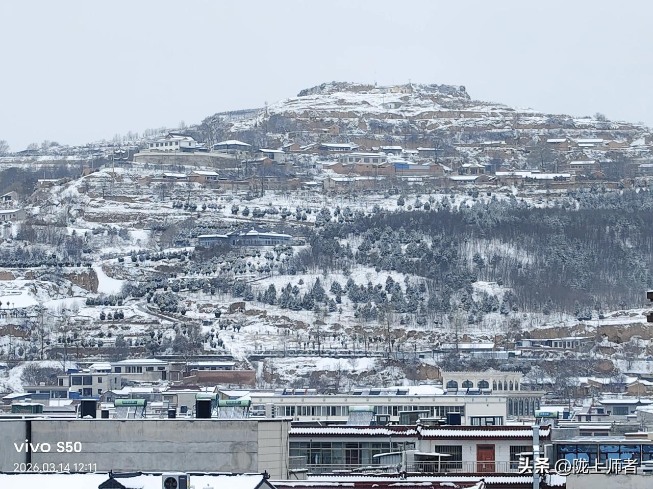 黄土高原上的春天！