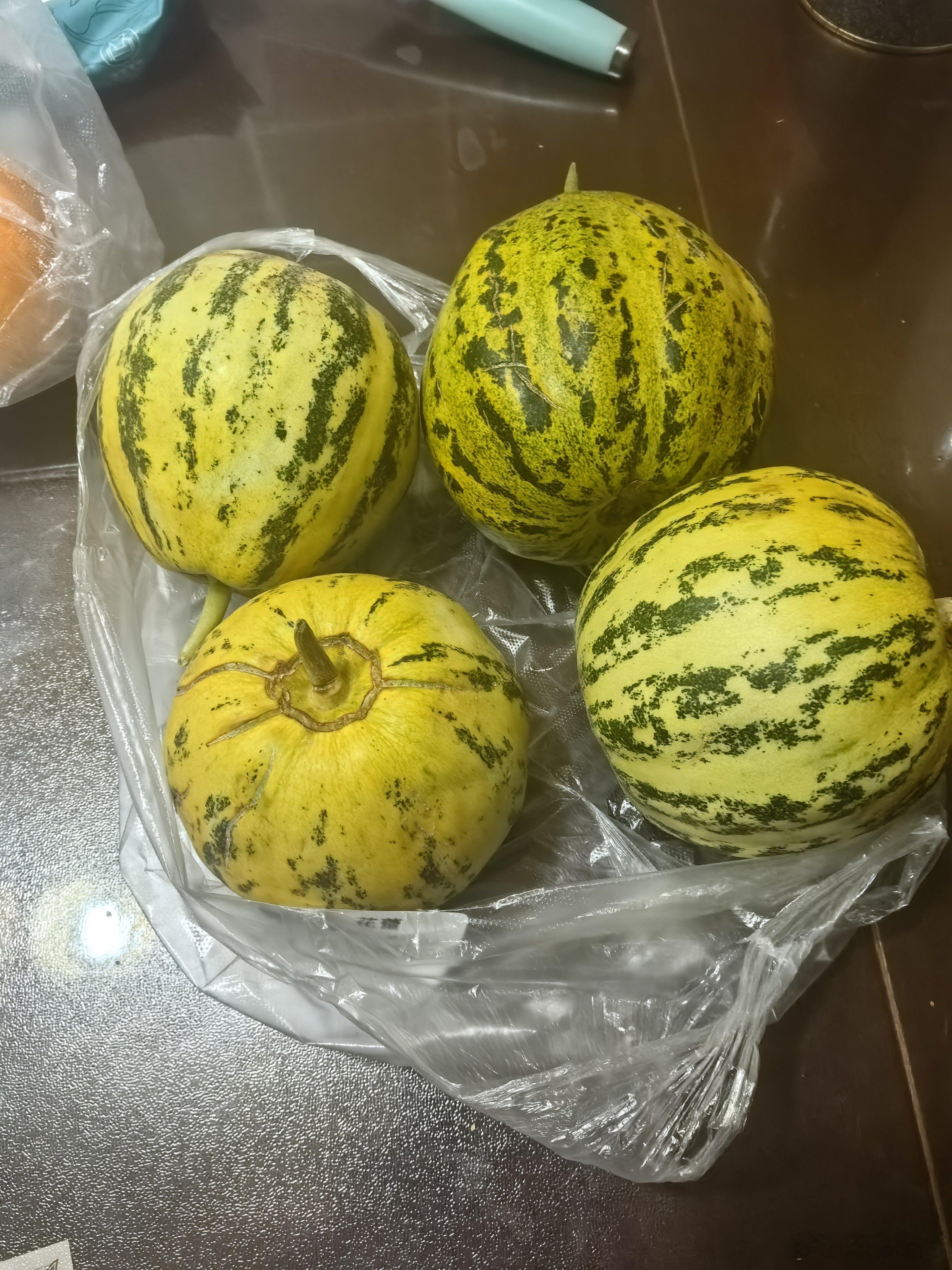 小伙伴们，这种甜瓜谁懂啊？我们称之为落花甜。小时候的夏天，就靠这个解馋了。刚一落