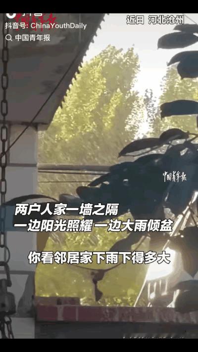 近日，河北沧州一男子在自己家院子里享受阳光明媚的好天气时，发现邻居家却下着大雨，
