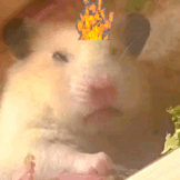 第五人格[超话] 五包QQ糖宝宝们   