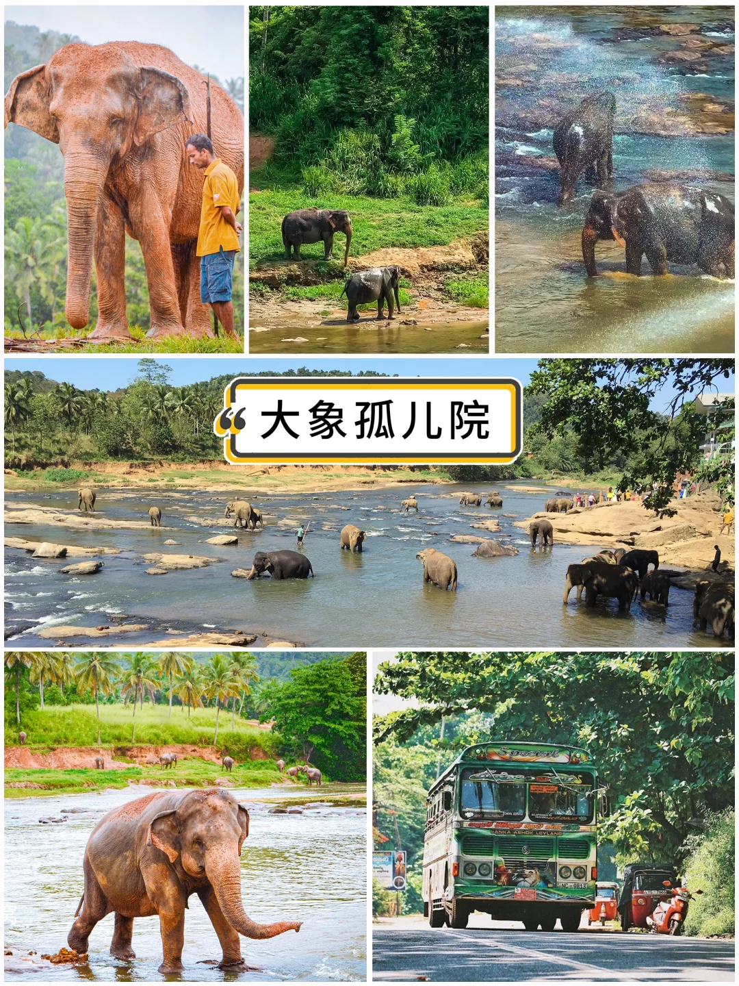 免签小众物价低，超棒线路+遗产酒店这价真香