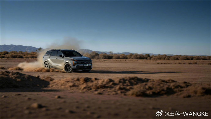 李娜姜山认定的家用SUV 我最近刷到个消息，网坛传奇李娜正式代言新狮铂拓界了，这