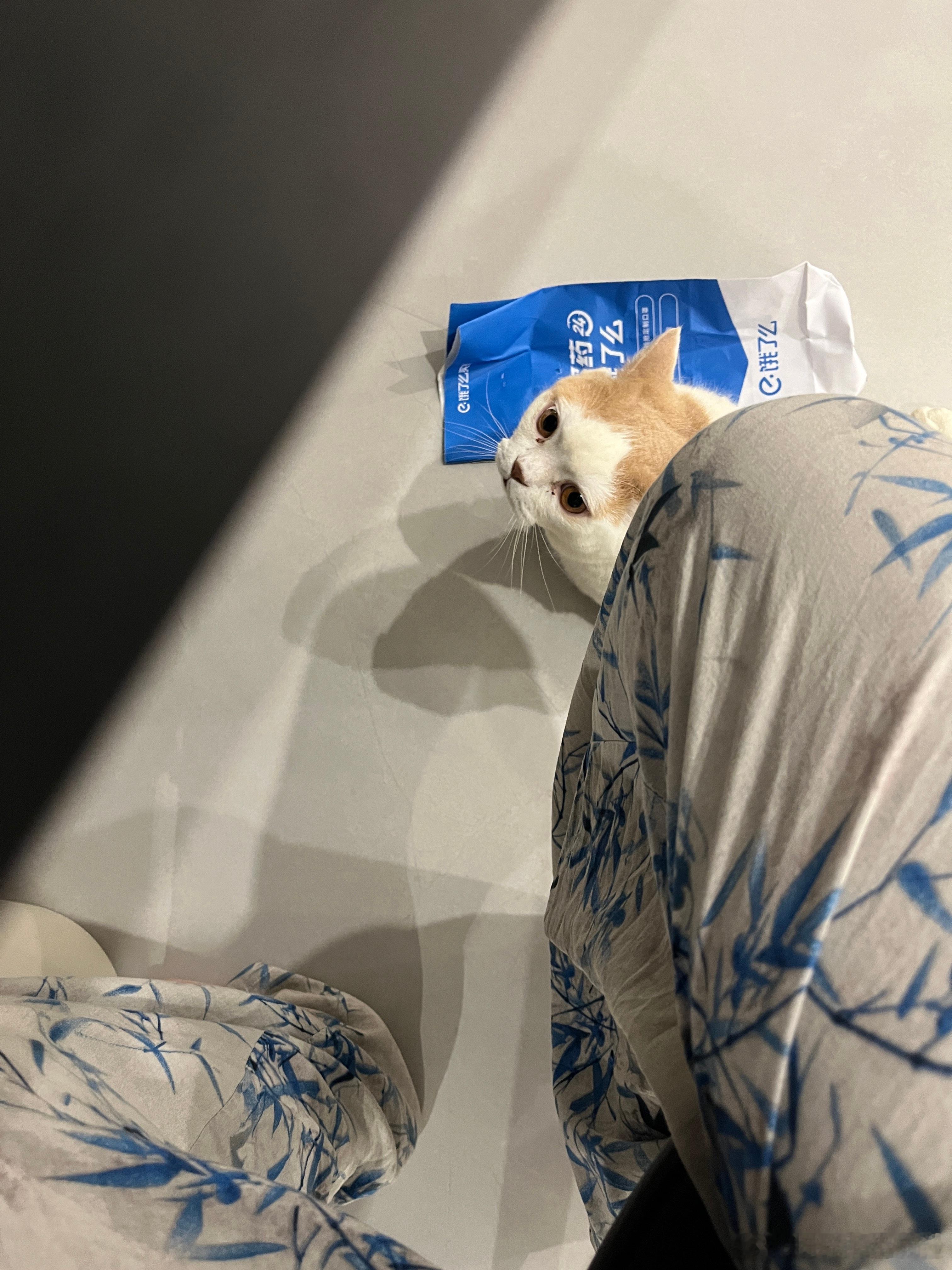 一眼都不要看[揣手]一看就粘过来了 ​​​