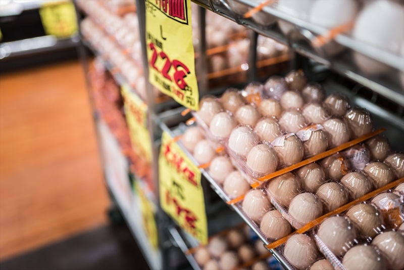 日本新潟县一家养鸡场暴发高致病性禽流感，约28万只鸡被扑杀。这是本流行季第4起疫