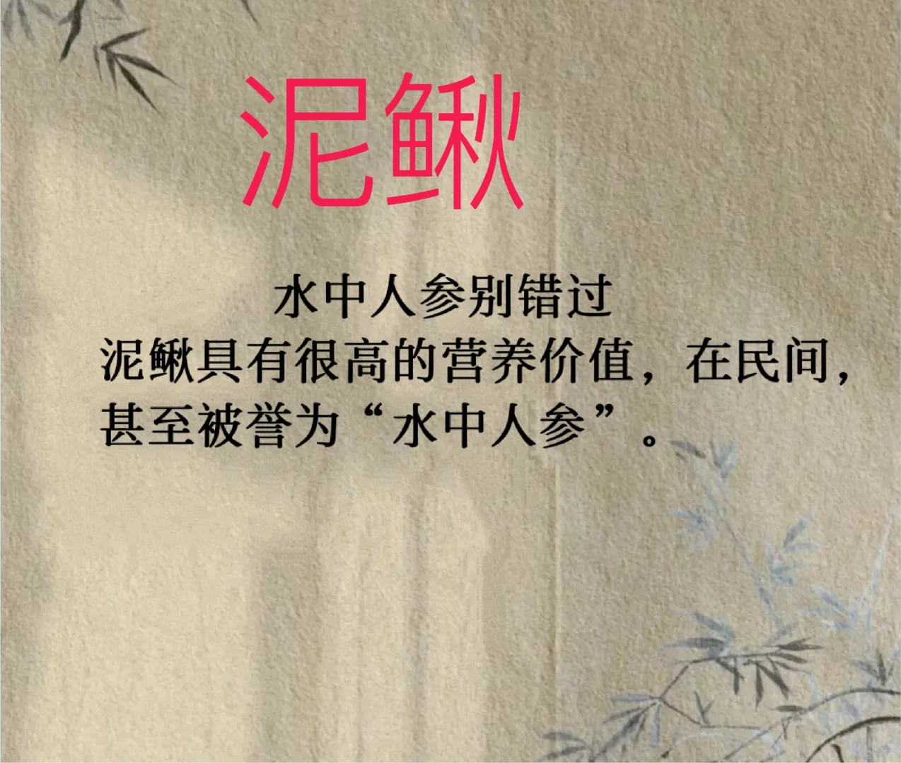 “它”营养好美味又补益强体魄