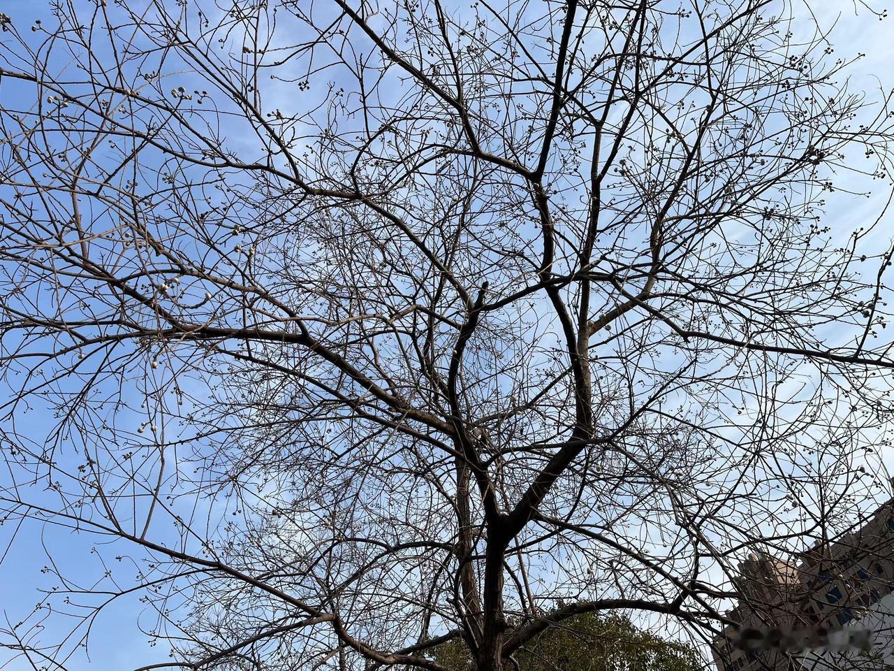 邻居大妈被诊断出患了轻微脑梗，医生告诉她，每天只需要做一件事，那就是多喝白开水。