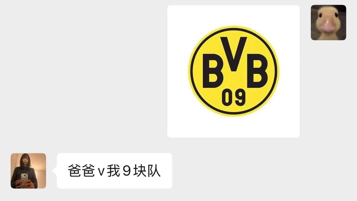 看不懂世界杯的人belike：当我在网上看到有人玩看队徽猜队名的游戏就很想让我那