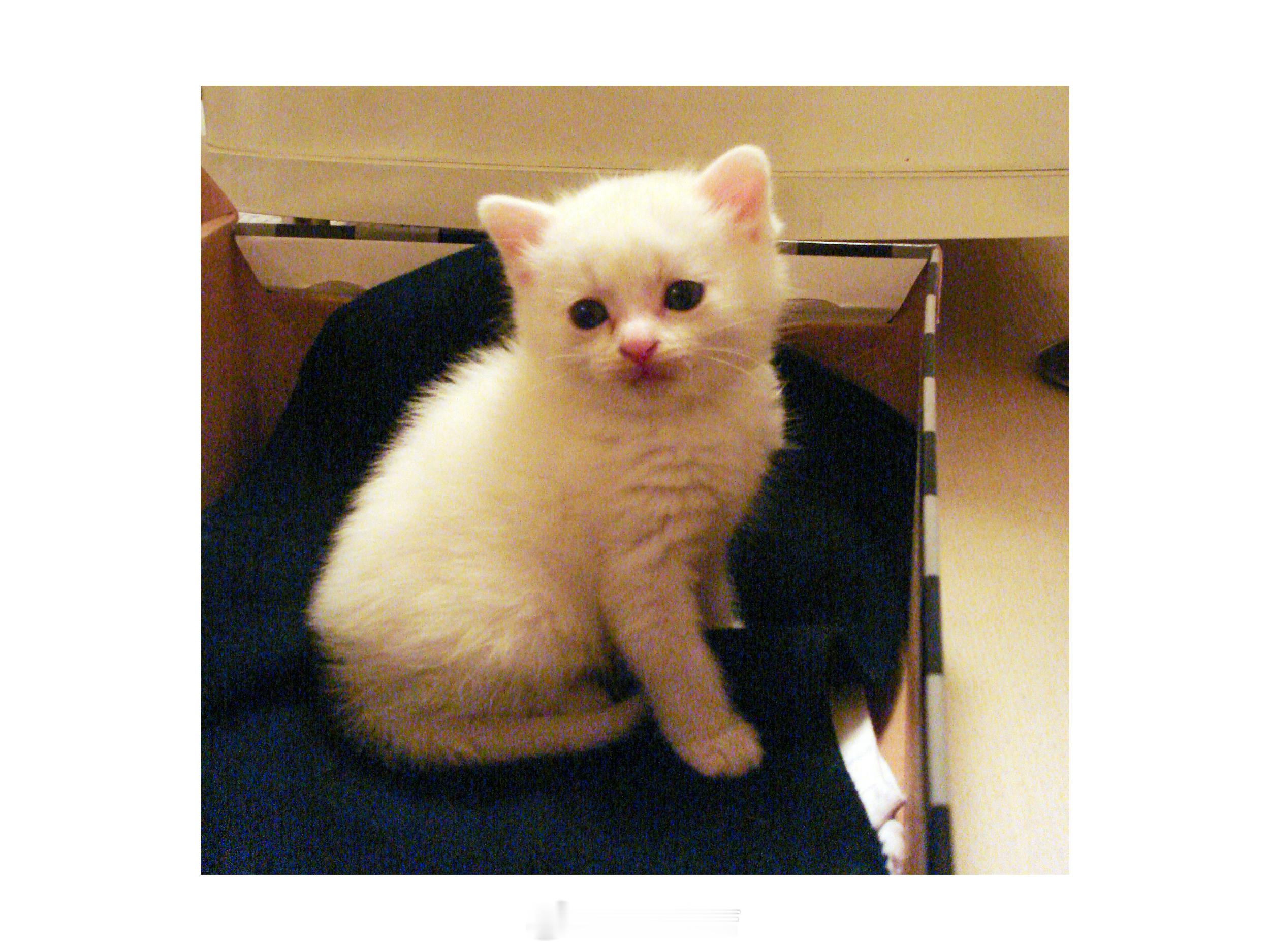 吉：小時候和大時候的偶😉 ​​​