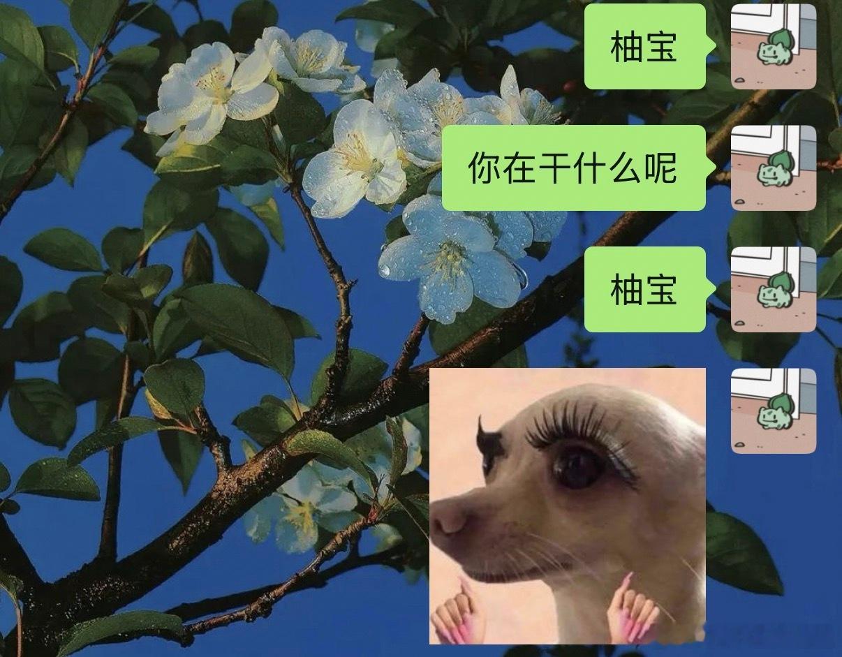 带柚宝刷小夜给自己歪了一个小丑🙉然后又连出了小夜 