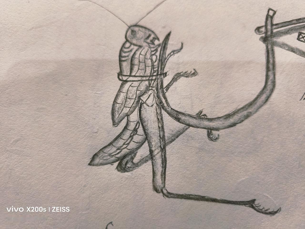 用昆虫可以钓大鱼
         我退休之前只要有休息时间总爱约上钓友外出钓鱼