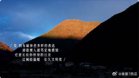 看完小小的勇气被治愈了 沉浸在《小小的勇气》的世界，和露思一起感受生活的本真。山