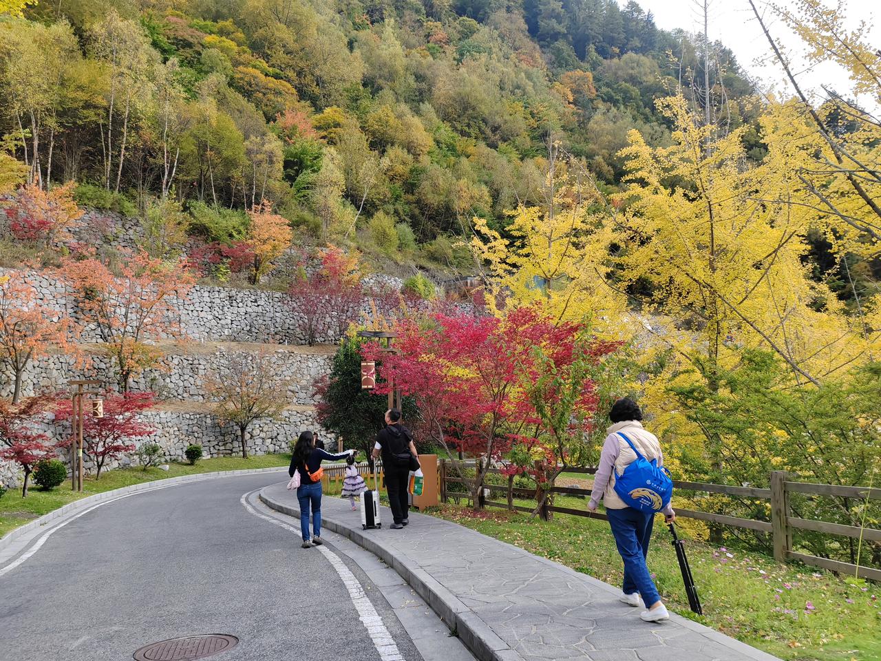 我住现在这套房子快6年了，同层三户，我至今只知道对门养了只柯基，连对方姓啥都没搞