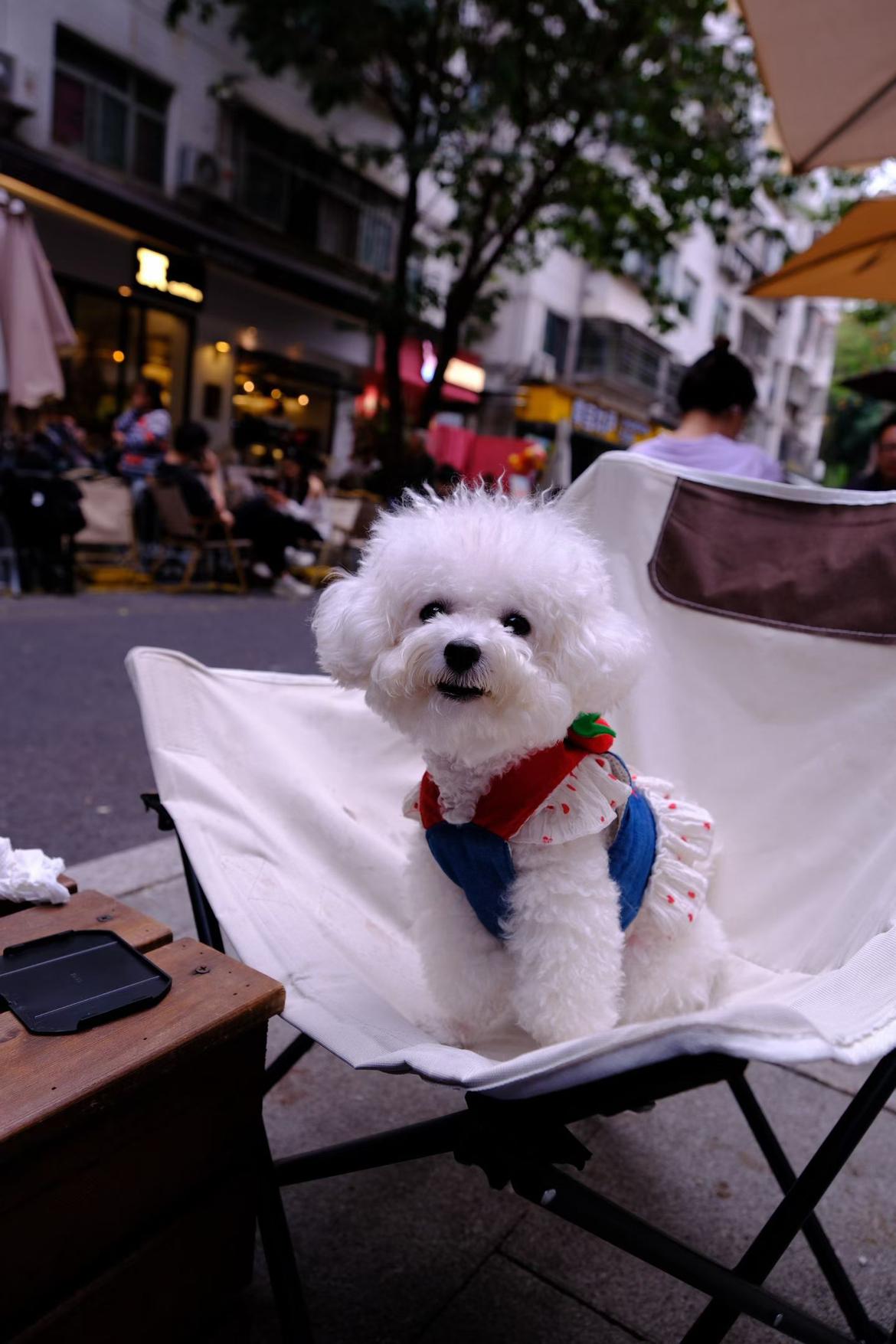 我的今日状态：🏃‍➡️运动
我这里的天气：🌤️多云