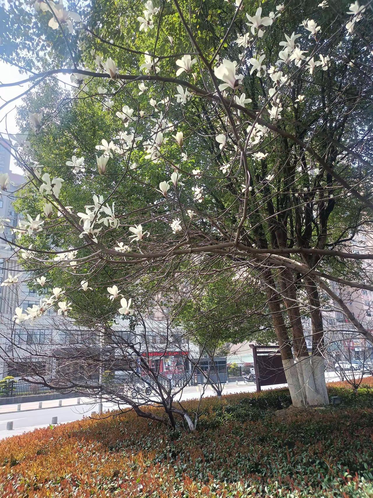 有多少人，是被自己老伴活活折磨死的。
​上周五，小姑的公公过世了。我们去悼唁，听