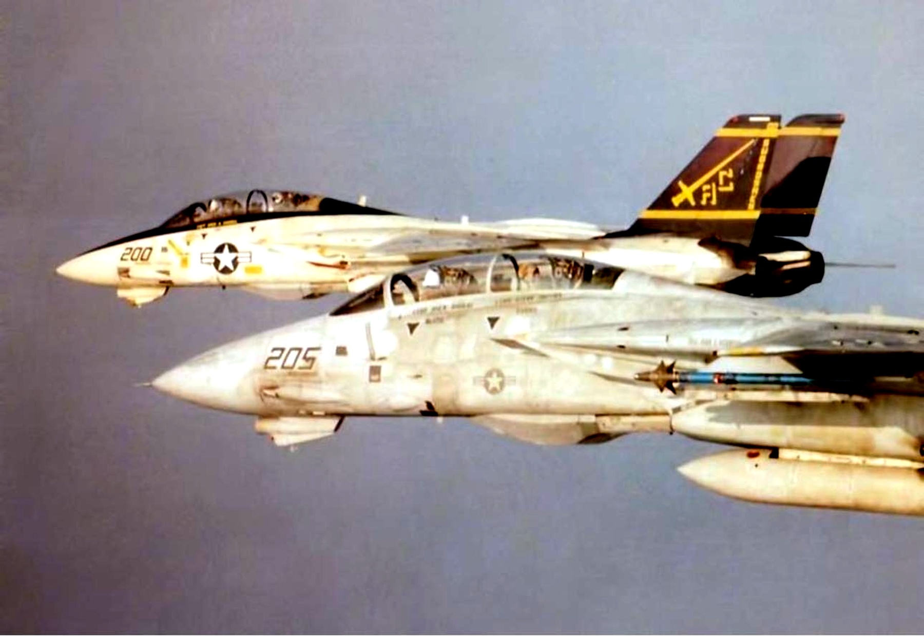 分享圖片：美國格魯曼F-14“雄貓”重型艦載戰鬥機 