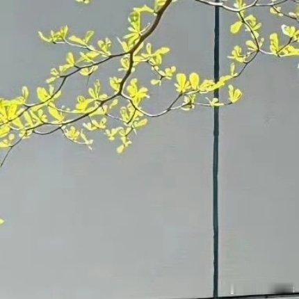 坚守心中崇真的信仰与行事待人的诚恳，用持续的热心奉献践行向善理念，让每一份热忱都