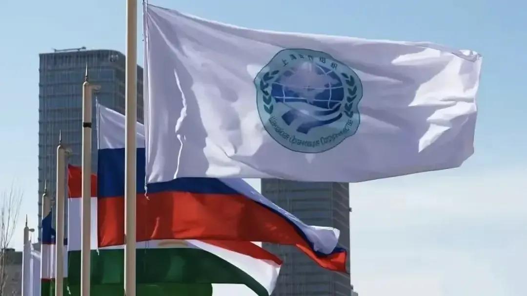 上合迎来新成员伊朗！印度的发言又把美国气歪了！

印度总理说“作为上合的一员，我