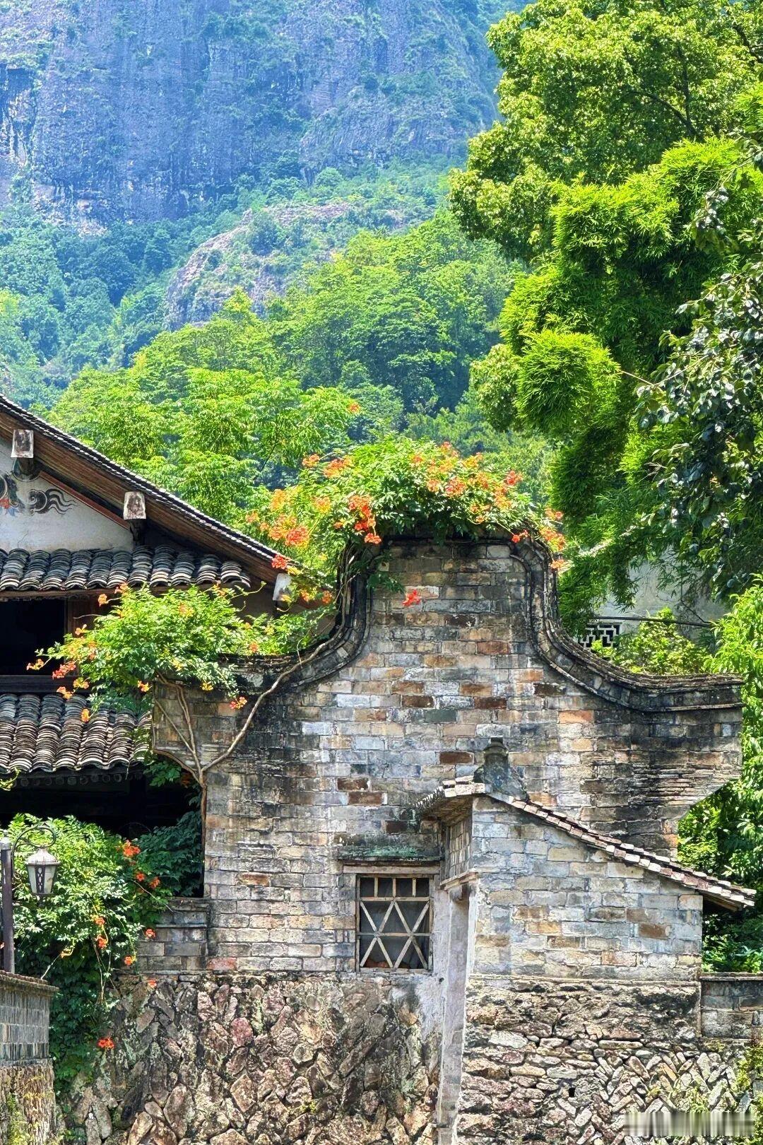 古墙开满繁花，山野古村的氛围感直接拉满[送花花] ​​​