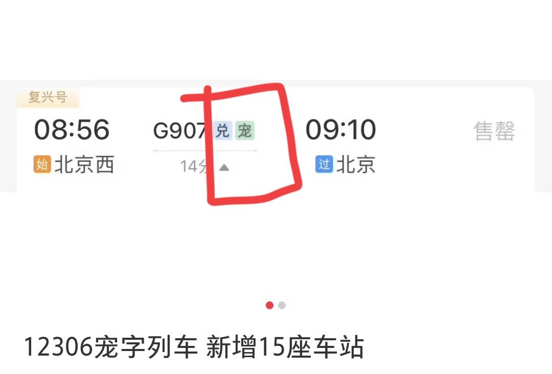 友友们发现了吗？12306官方购票页面部分车次旁有“宠”字绿色方框标识，代表该车