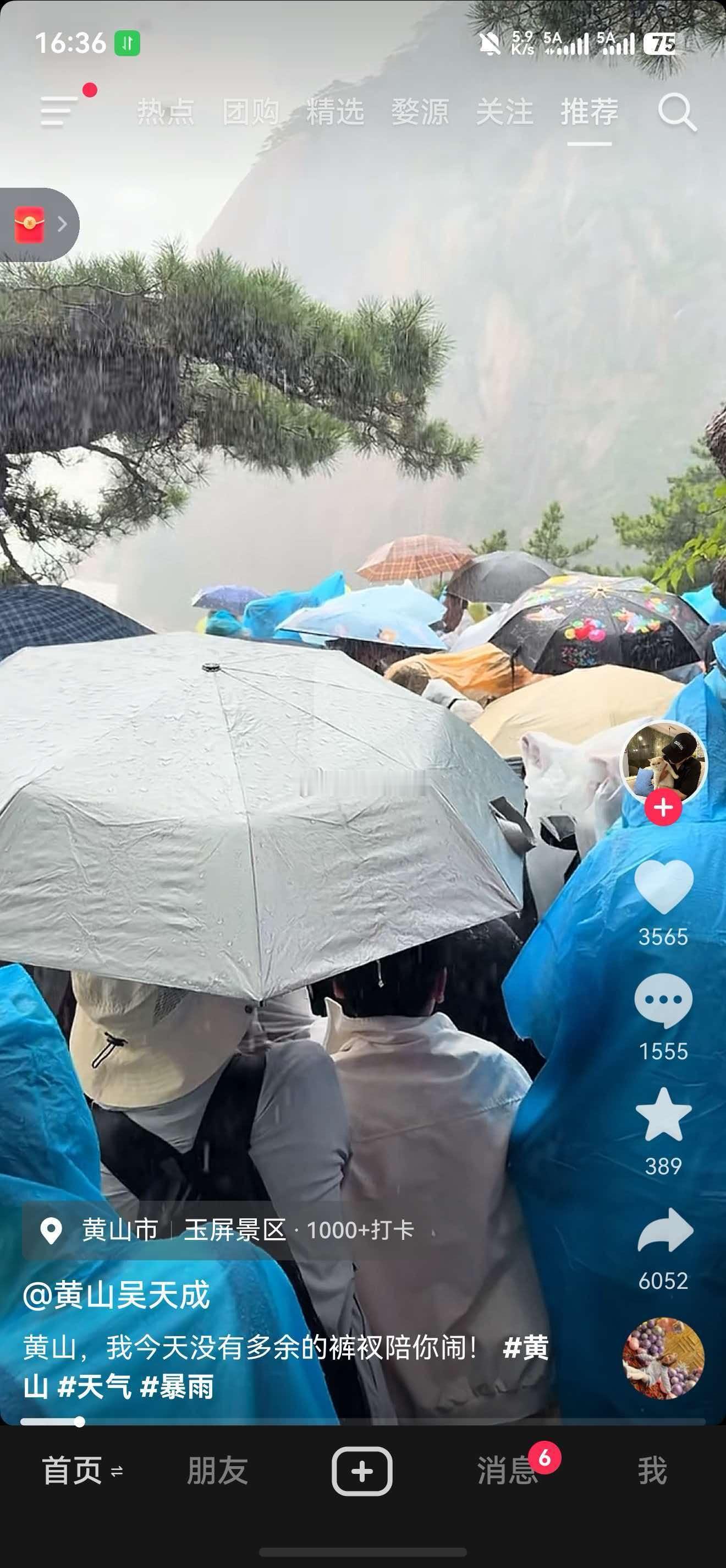 还好我今天有先见之明没去爬黄山不然又跟昨天一样成为落汤鸡了