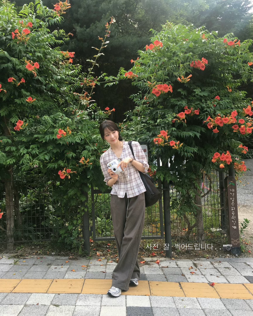 换乘恋爱3 书景ins更新：喜欢的季节 夏日记录 🍃🎞️ 