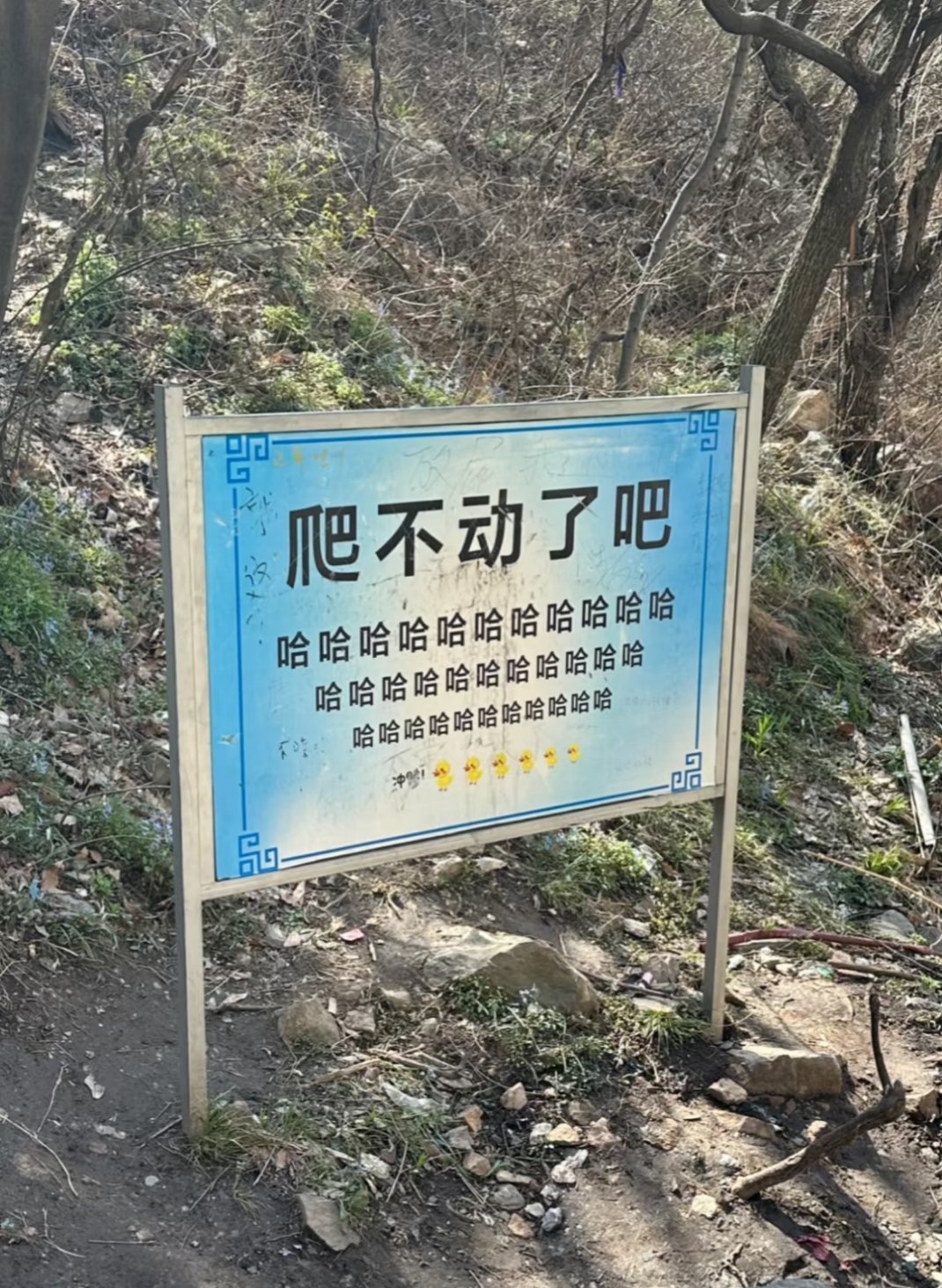“爬不动了吧哈哈哈哈哈”成绝版了 
