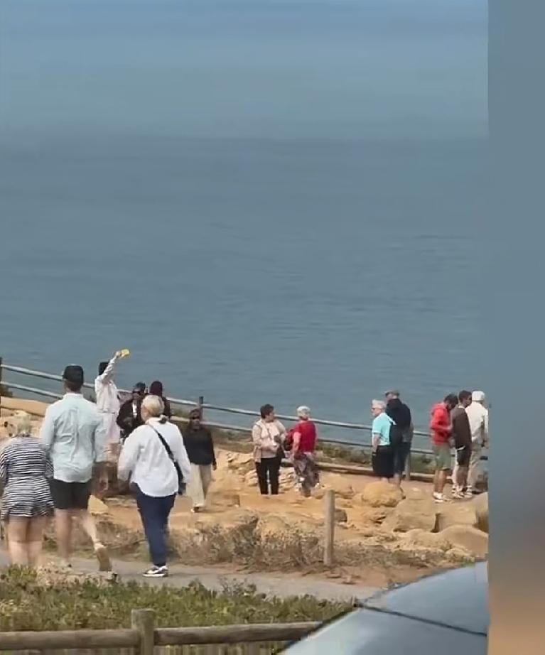 网友去西班牙看斗牛
在街上游玩的时候突然围上来五六个吉普赛女子，他刚开始误以为他