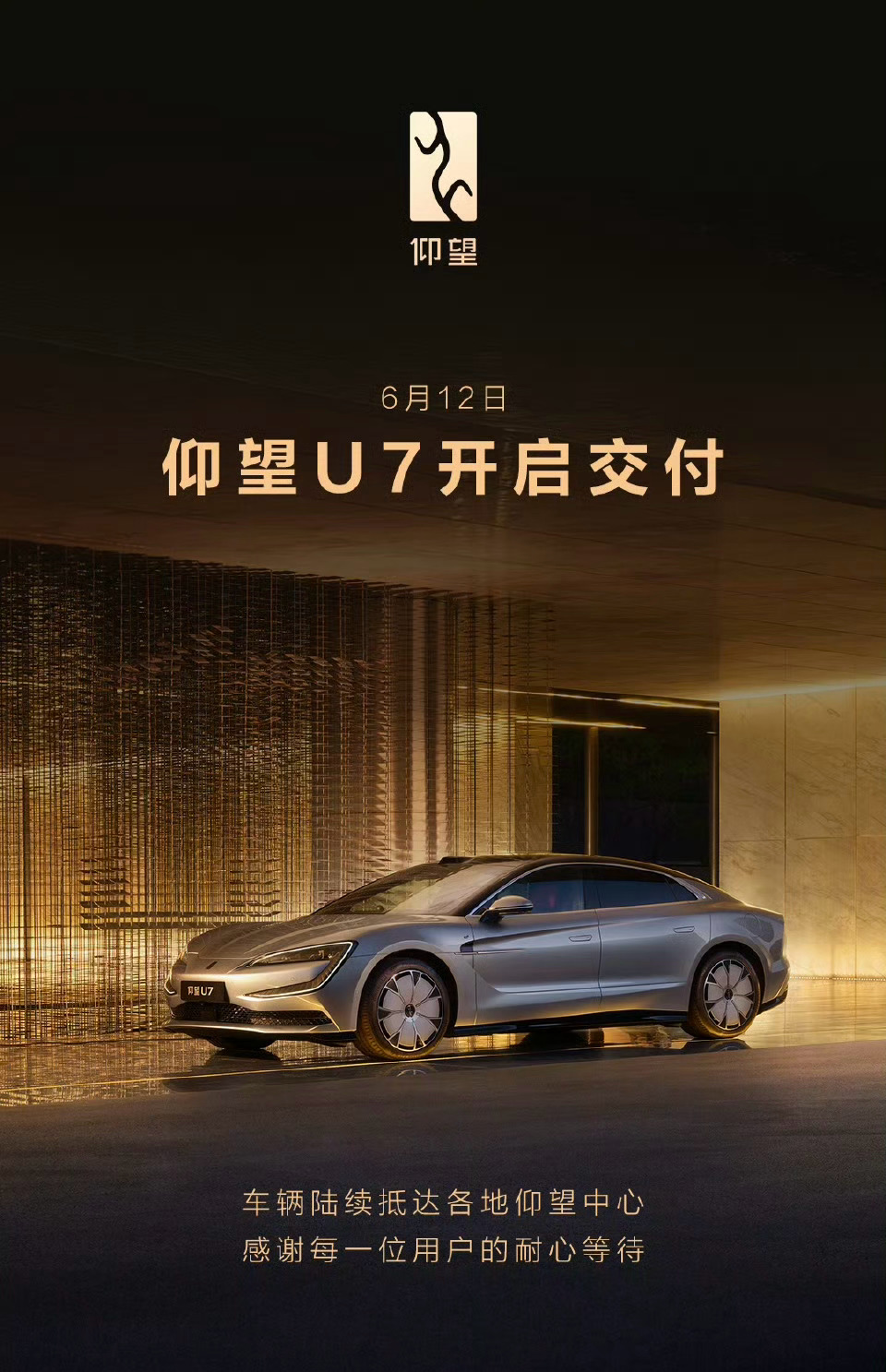 仰望是第一个拥有广泛影响力以及首个销量破万辆的中国百万级汽车品牌，仅从这一点上就