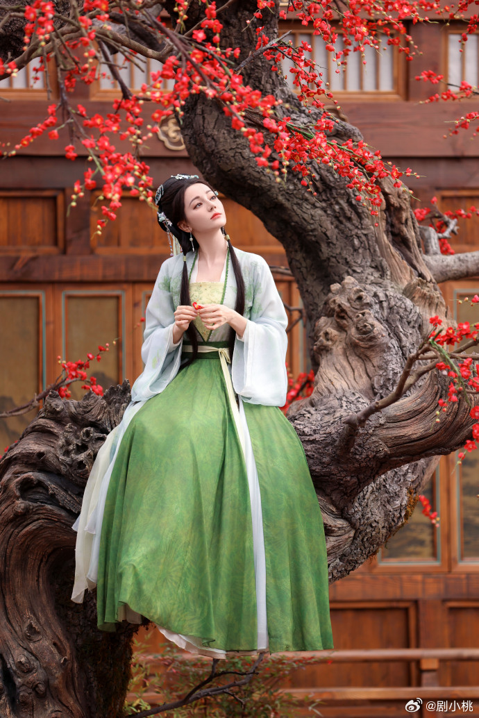 白日提灯有自己的射手和法师 越品越香！贺思慕韩令秋联动开大，法术物理互补，配合丝