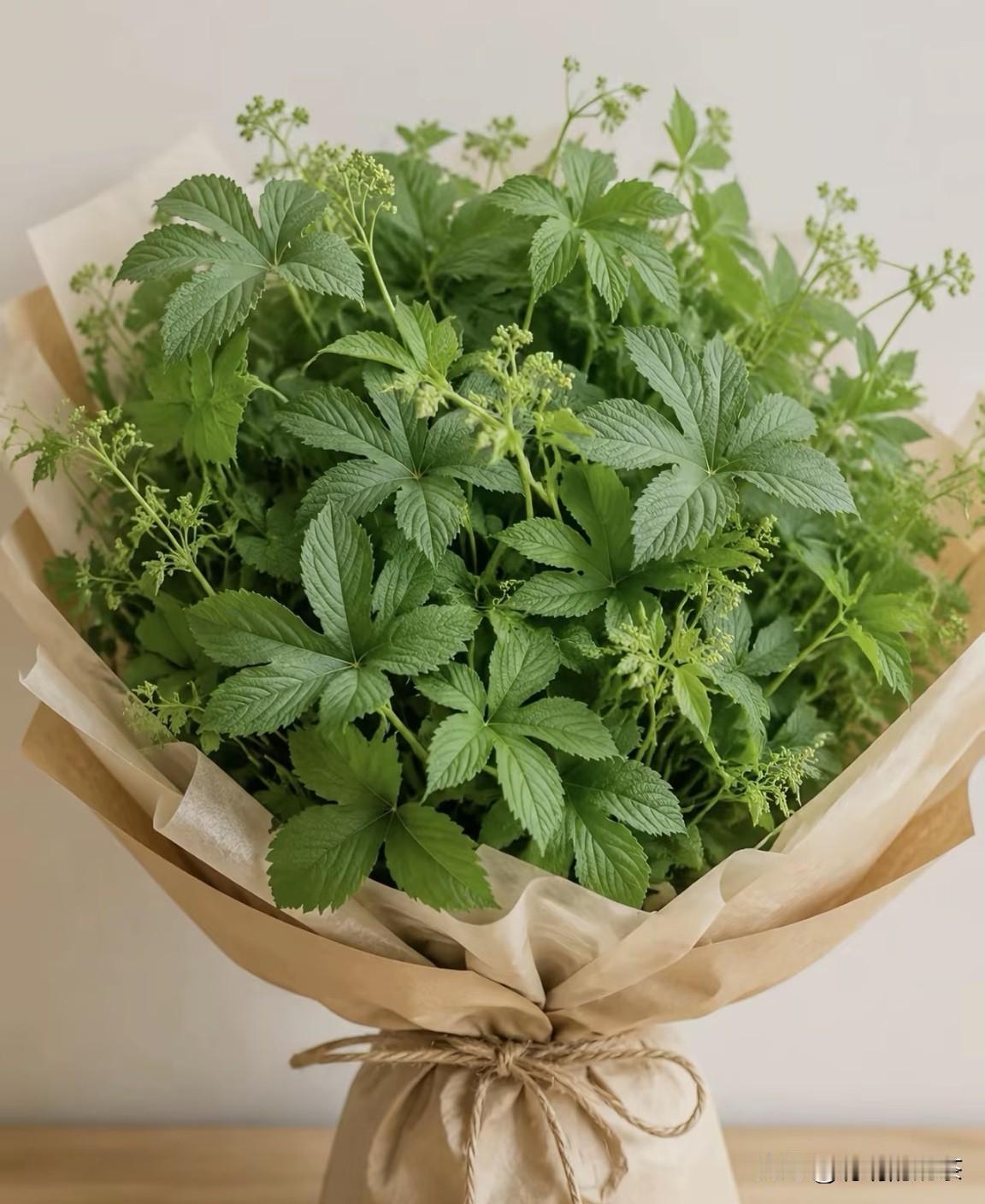 一定要鲜花吗？拉拉秧不行吗？它的话语是，我不疼你谁疼你……
