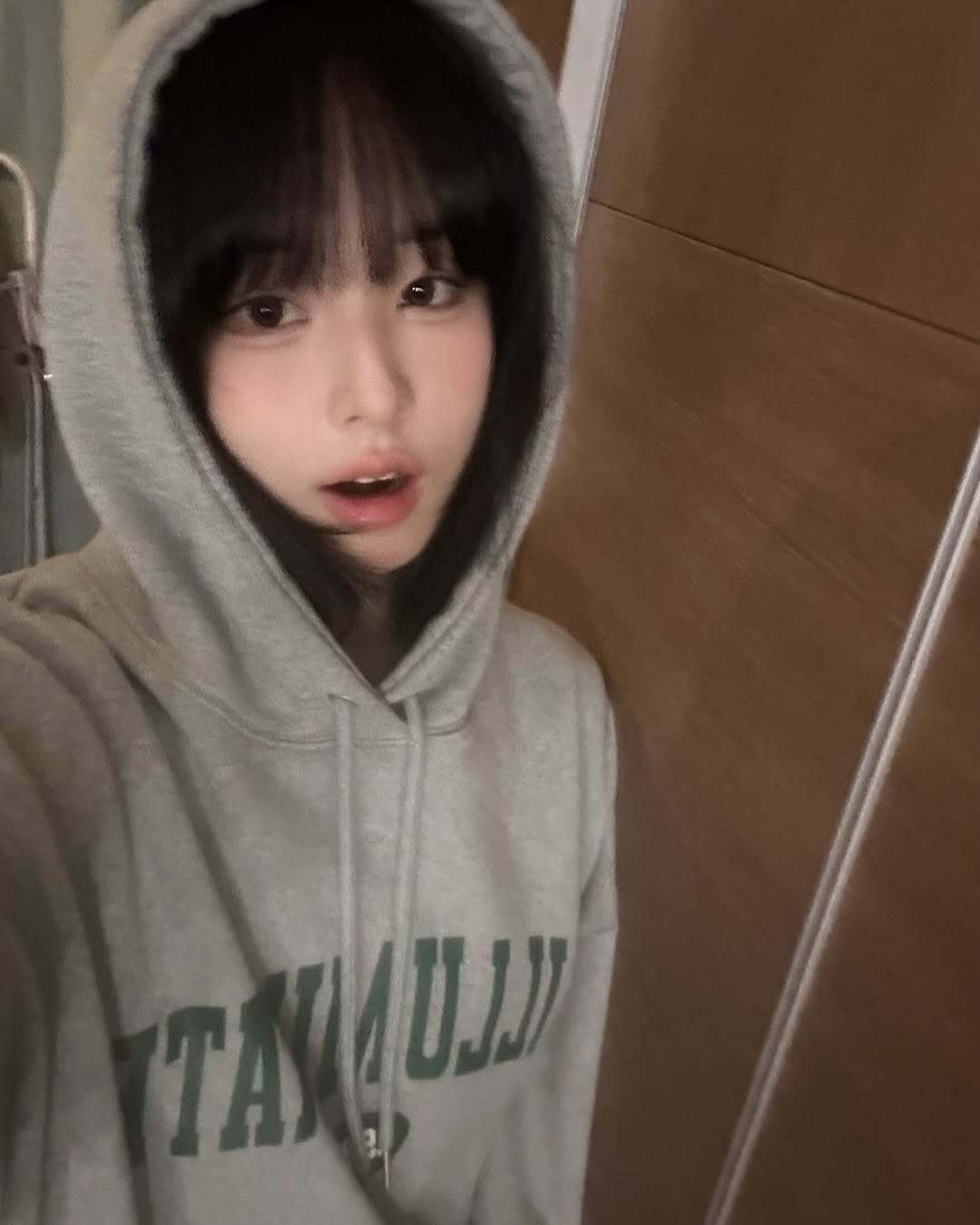 一卷灰色的毛线团🧶🩶 