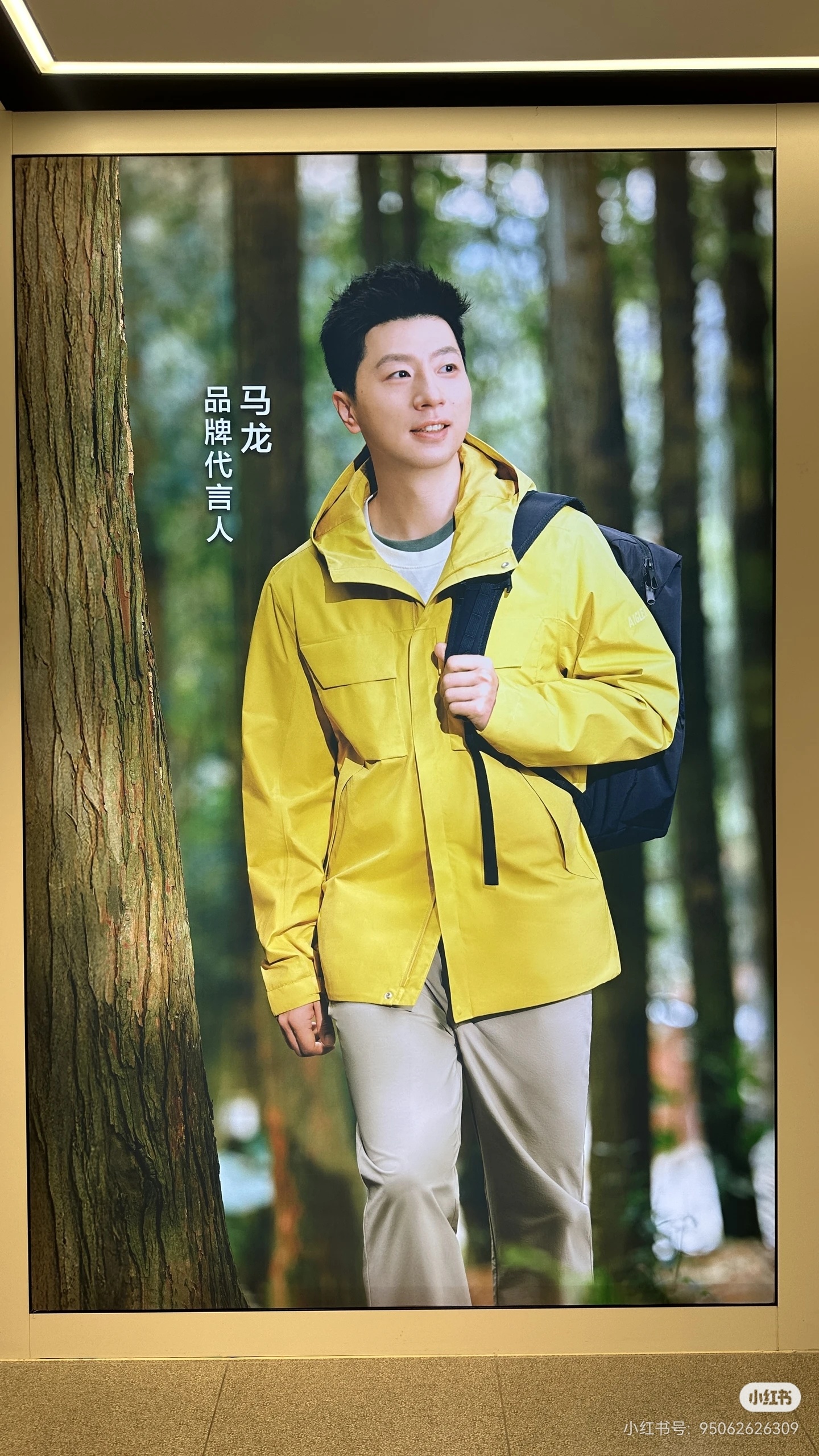 (✪ω✪)广州机场T2店的橱窗aigle品牌代言人马龙