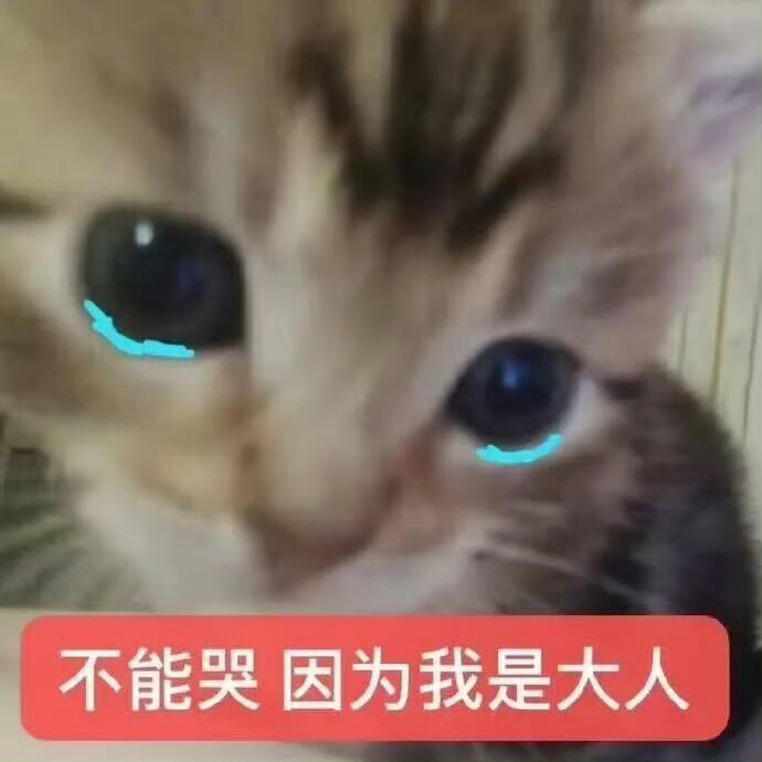 我就这样每天在逼着厨子做饭，忏悔一下。但是我真的太爱了，咋办。 