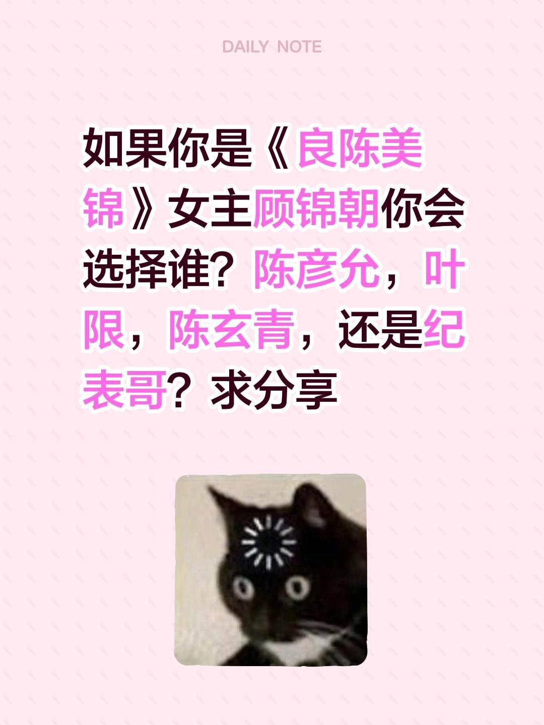 如果你是《良陈美锦》女主顾锦朝你会选择谁？陈彦允，叶限，陈玄青，还是纪表哥？求分