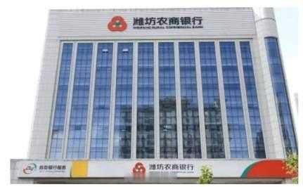 潍坊农商行合规及培训项目招采，朵朵莲传媒以64.26万元价格中标泰山财经记者 林