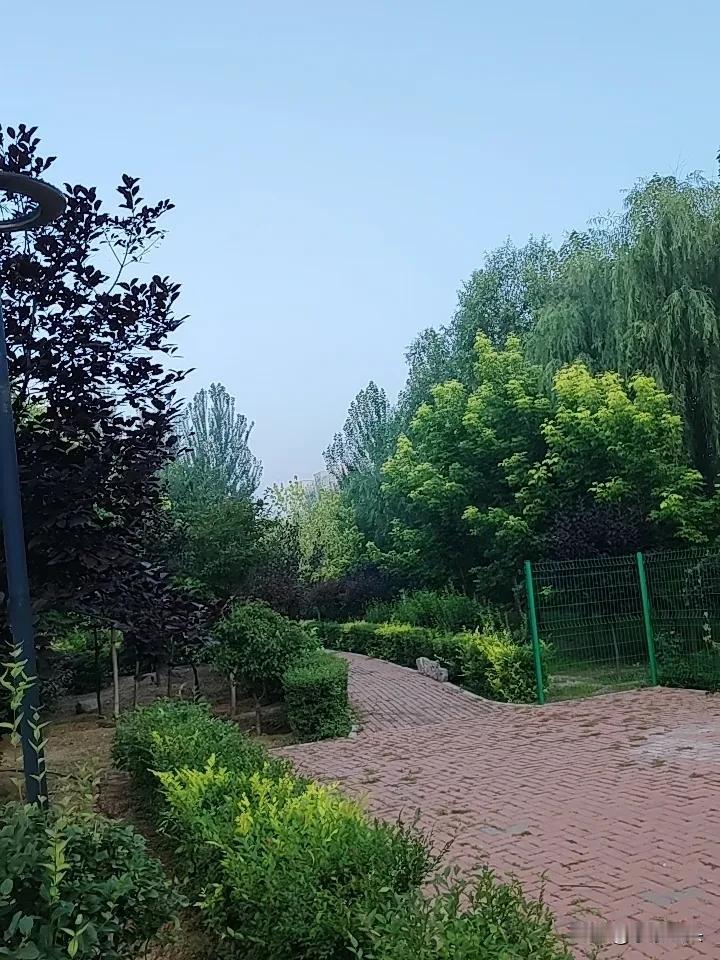 你也别骂黑韩红的人，
你也别说韩红有多大的罪过，
月捐人捐赠的善款是事实，
网友