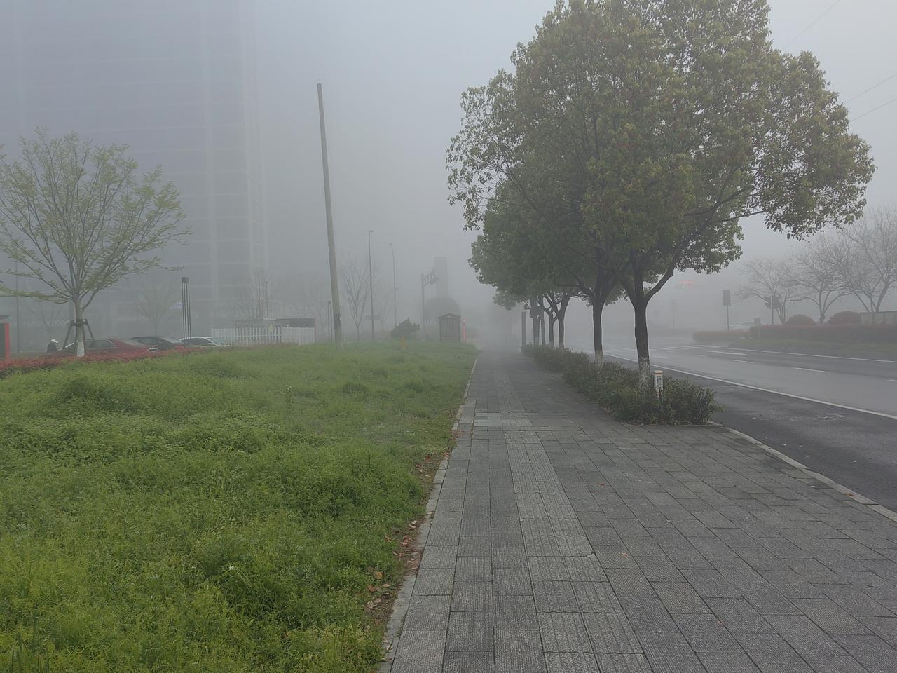 在中国文化中的绿色有生命力、活力的含义，也是春季的象征！