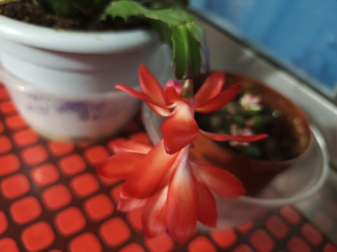 马年到！新年新气象！大家欢欢乐乐健健康康迎接新年！新年新气象，你也会有新希望，大