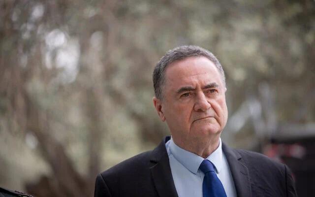 以色列国防部长卡茨发表6月8日公开表态，他表示，以色列国防军（IDF）将继续在黎