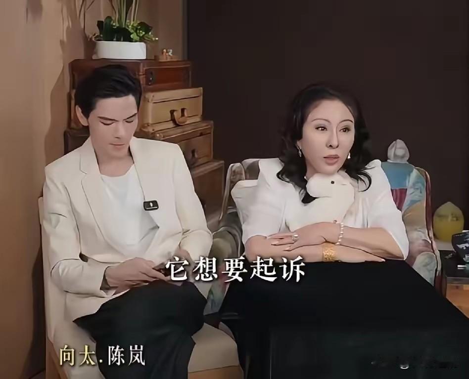 LV。
把一家卖奶茶的给告了。
理由是——花纹像。
向太一听，笑了。
她翻出八年