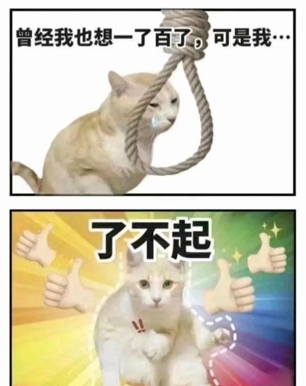 猫咪去世前一天用按钮和我告别从最保守的行为学角度看，猫咪可能是在极度不适或虚弱状