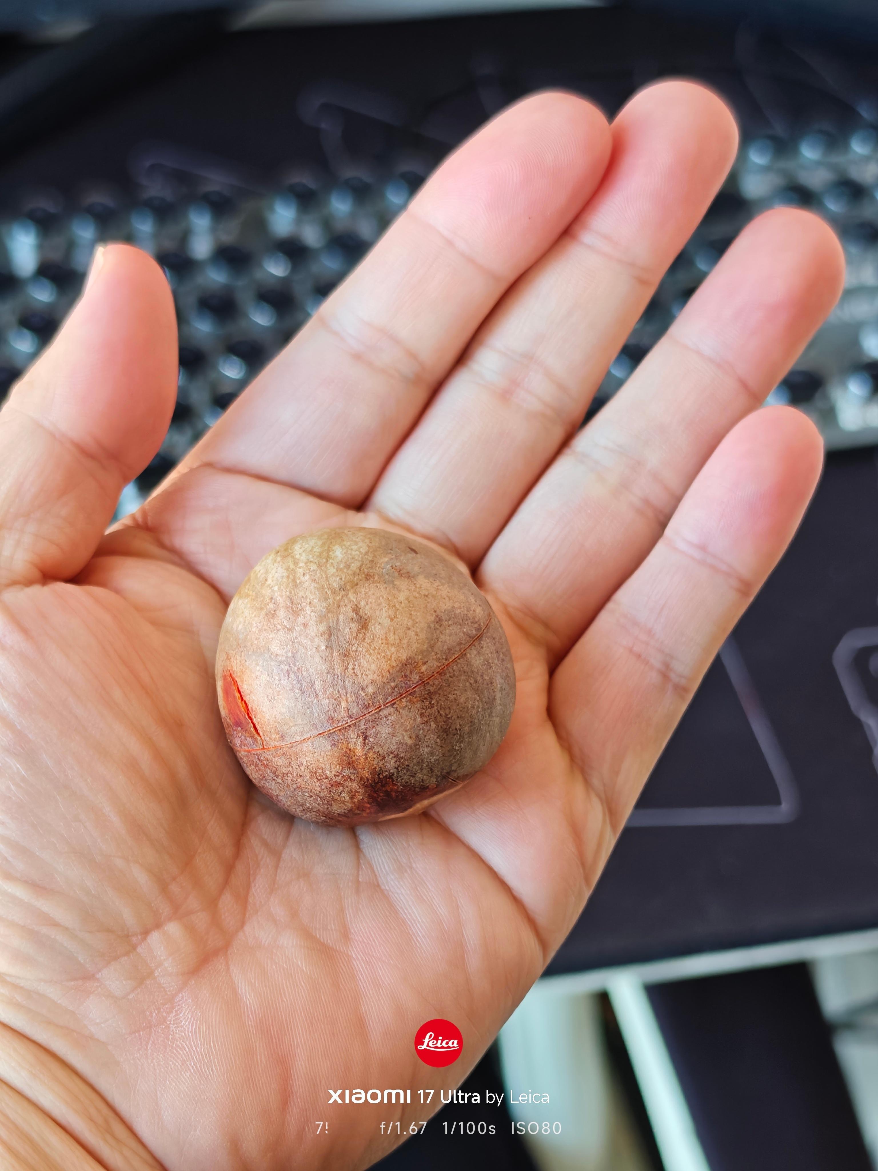 猜猜这是什么？难度不小哟