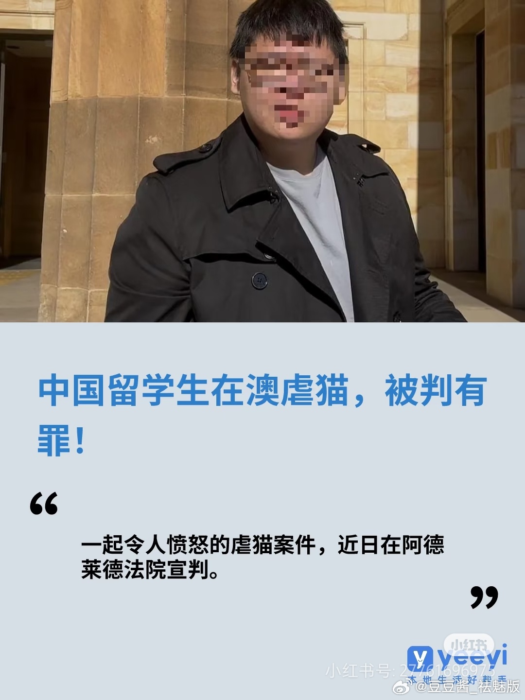 中国留学生在澳虐猫，被判有罪 