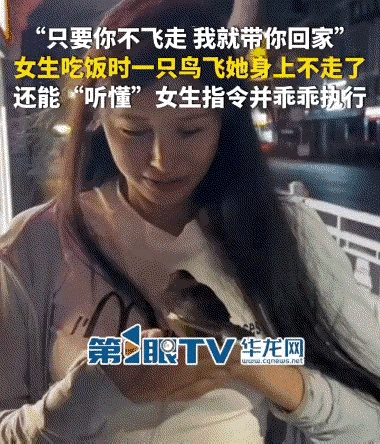 万万没想到，江西修水一位女子出门吃饭，竟被一只小鸟主动“上门认主”。这只鸟一点不