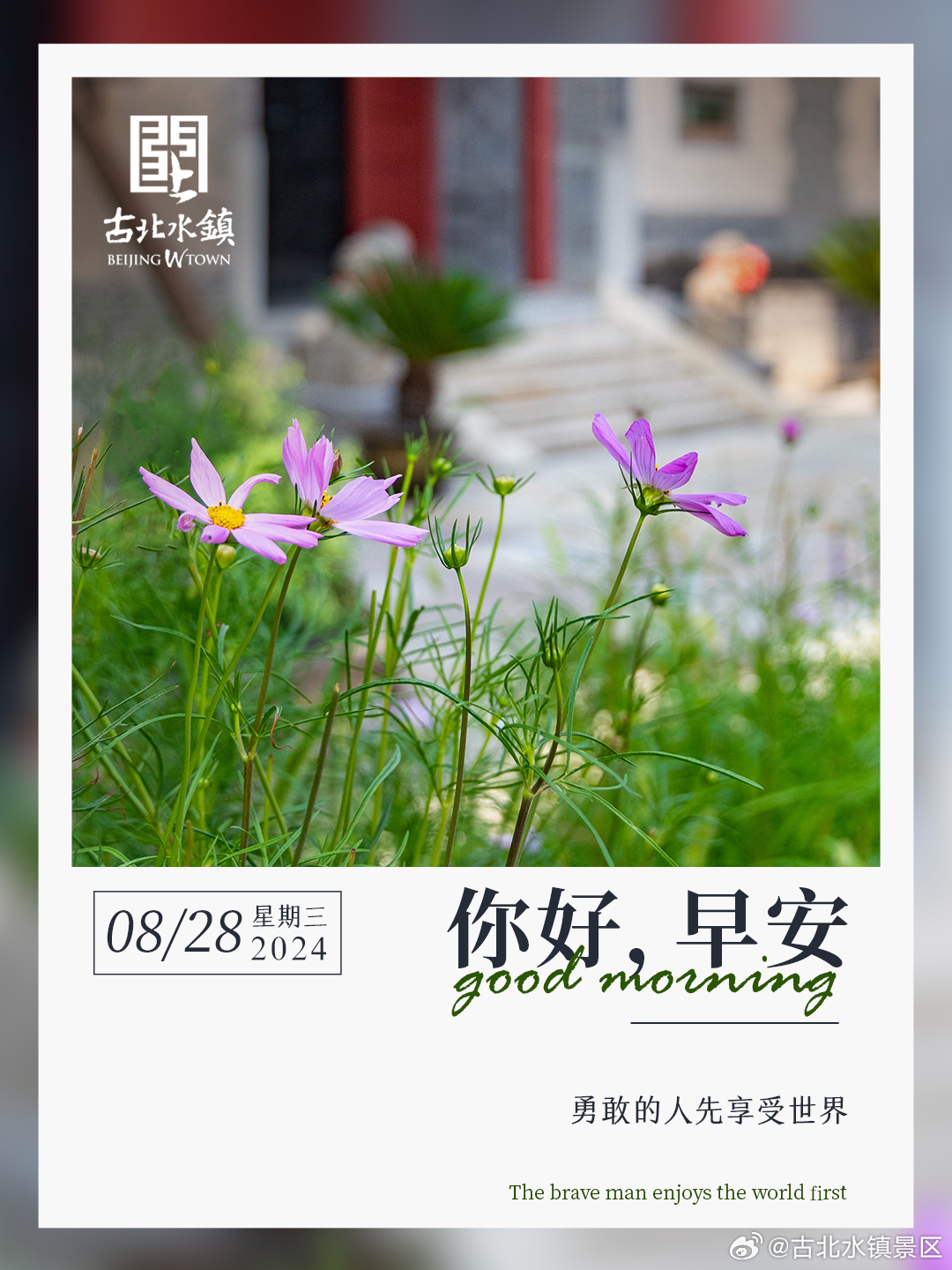 勇敢的人先享受世界早安，宝子们~ ​​​